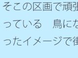 【無料】そこの区画で頑張っている  鳥になったイメージで街中を俯瞰  見えていないものを・・・